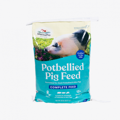 Mini pig feed near hot sale me